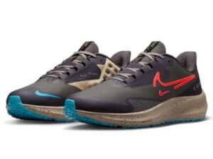 NIKE PEGASUS39 SHIELD mens