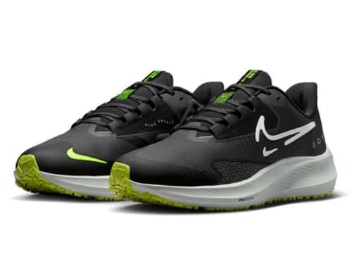 NIKE PEGASUS39 SHIELD 